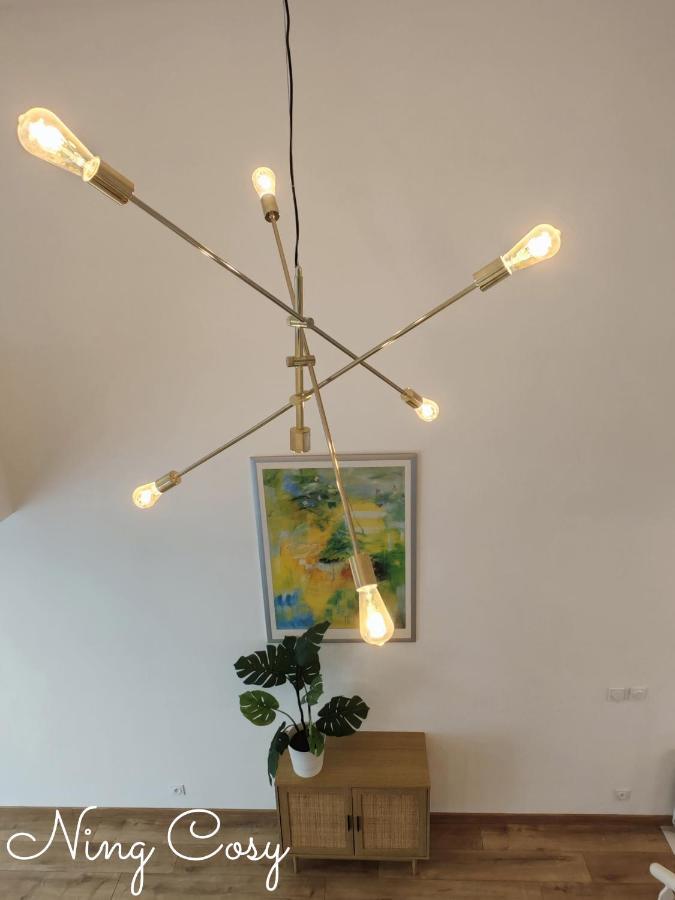 Superbe Cosy Duplex Appartement T3 Charpenne Tete D'Or Avec Parking Prive Gratuit Villeurbanne Eksteriør billede