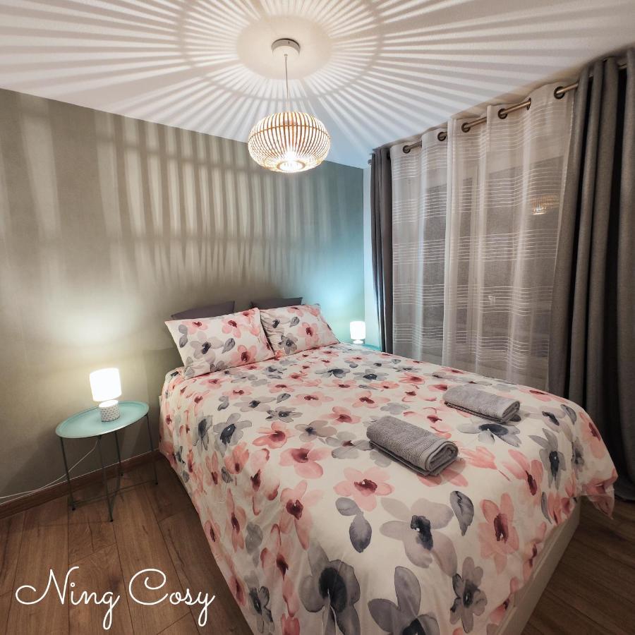 Superbe Cosy Duplex Appartement T3 Charpenne Tete D'Or Avec Parking Prive Gratuit Villeurbanne Eksteriør billede