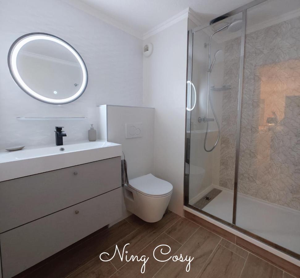 Superbe Cosy Duplex Appartement T3 Charpenne Tete D'Or Avec Parking Prive Gratuit Villeurbanne Eksteriør billede