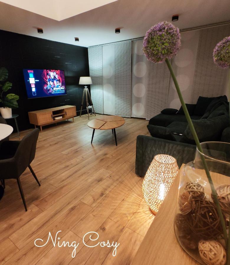 Superbe Cosy Duplex Appartement T3 Charpenne Tete D'Or Avec Parking Prive Gratuit Villeurbanne Eksteriør billede
