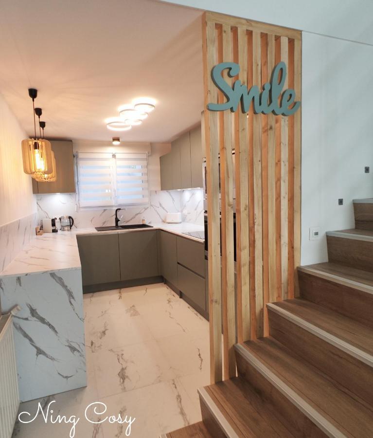 Superbe Cosy Duplex Appartement T3 Charpenne Tete D'Or Avec Parking Prive Gratuit Villeurbanne Eksteriør billede
