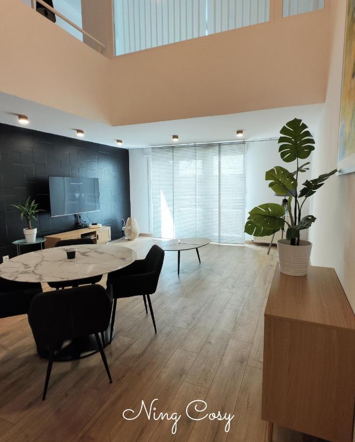 Superbe Cosy Duplex Appartement T3 Charpenne Tete D'Or Avec Parking Prive Gratuit Villeurbanne Eksteriør billede
